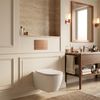 Concealed WC Frame Set Slim 024N with Titan T Brush Copper