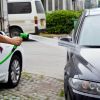 Garden hose P20011