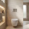 Concealed WC Frame Set Slim 024N with Chrome HD Button