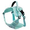 Leash and harness for a dog PJ-061 green L