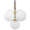 LAMP APP1574-5CP Gold