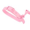 Laisse et Collier pour chien PJ-068 pink S