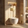 Concealed WC Frame Set Slim 024N with Gold HD Button