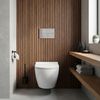 Concealed WC Frame Set Slim 024N with Titan T Brush Steel