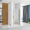 Shower door REA Rapid Swing Gold 100