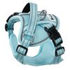 Leash and harness for a dog PJ-054 Blue S