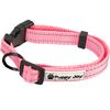 Šviesą atspindintis pavadėlis ir antkaklis šuniui PJ-036 Pink