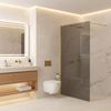 Душова стінка Rea Flexi Grey / Gold 120