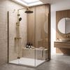 Душова стійка PREMIUM Rea Maxim Brush Gold