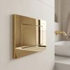 Concealed WC Frame Set Slim 024N with Gold J Button