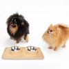 Dog/cat/pet bowl