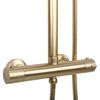 Shower set REA Tom brush gold
