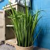 Artificial grass in a pot 70cm 222293A