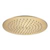 Pomme de douche ronde REA JS-P014BG 25cm Brush Gold