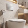 Concealed WC Frame Set Slim 024N with Satin HD Button