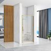 Shower door REA Rapid Swing Brush Gold 80