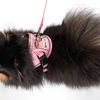 Leash and harness for a dog PJ-048 pink  XS