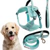 Leash and harness for a dog PJ-065 green XL