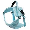 Leash and harness for a dog PJ-062 Blue L