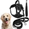 Leash and harness for a dog PJ-063 black XL