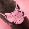 Връзка и каишка за куче PJ-060 pink L