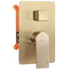 Built-in shower set Rea Verso BRUSH GOLD BOX