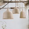 Lampe suspendue NATURAL APP1646-1CP