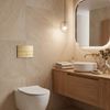 Комплект Инсталляции для Унитаза Slim 024N с Кнопкой T Brush Gold