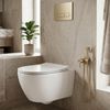 ROBINET DE BIDET ENCASTRÉ Rea Foster Brush Gold