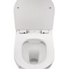 toilet bowl Carlos Slim Lava Mat