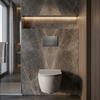 Concealed WC Frame Set Slim 024N with Titan HD Button