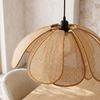 Lampe suspendue APP1954-1CP