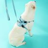 Поводок и шлейки для собаки PJ-066 Blue XL