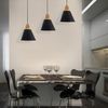 Závěsná stropní lampa Scandi A Black