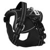 Leash and harness for a dog PJ-047 black XS