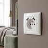 Single grounded socket + 2x USB-A OSTE JNH003-G White