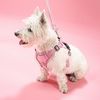 Guinzaglio e pettorina per cane PJ-052 pink S