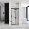 shower doors Rapid Slide 100