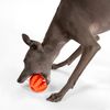 Dog chewing ball PJ-039