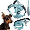 Leash and harness for a dog PJ-054 Blue S