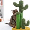 Kaparófa macskáknak Cactus P70415