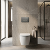 Concealed WC Frame Set Slim 024N with Titan HD Button