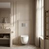 Concealed WC Frame Set Slim 024N with Titan T Brush Steel