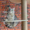 Duży Drapak dla kotów Beżowy 255-265cm 332529
