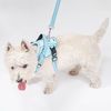 Leash and harness for a dog PJ-054 Blue S