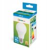 Bombilla LED Cold E-27 230V 7W 13899