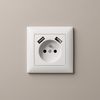 Single grounded socket + 2x USB-A OSTE JNH003-G White