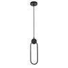 LED Pendant Ceiling Lamp APP851-CP Black