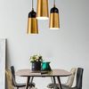 Lampa SUSPENDABILA Fox ROSE Gold