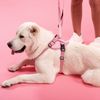 Hundeleine und Geschirr PJ-064 Pink XL